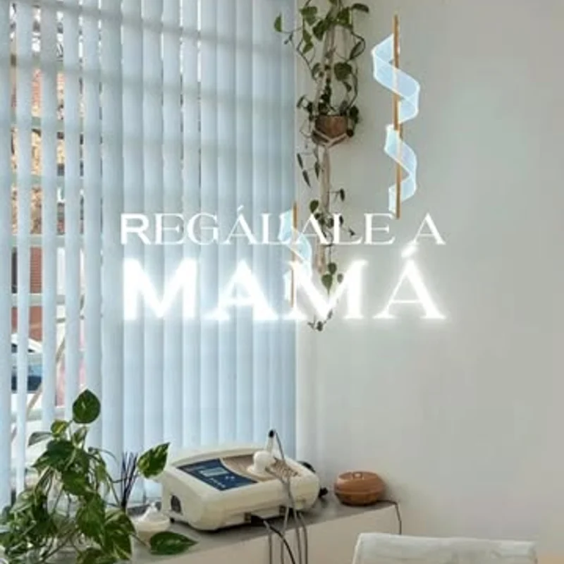 Sala de tratamientos del estudio con plantas y luz cálida